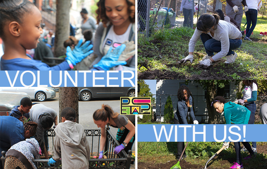 Volunteer With Us banner; volunteers get involved at NYC neighborhood park project petals